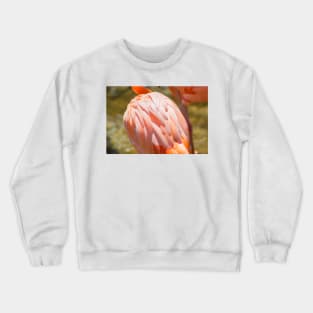 Flamingo body Crewneck Sweatshirt